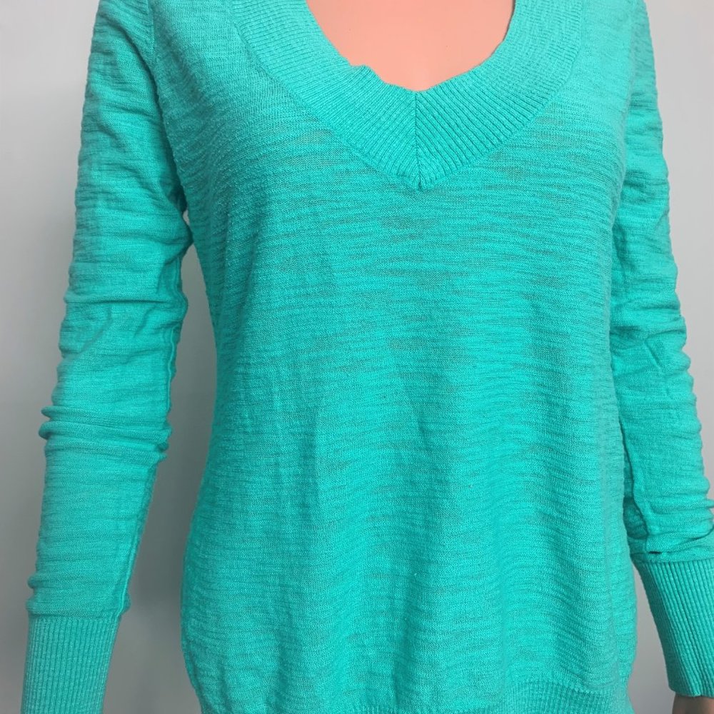 Express V Neck Long Sleeve Large Sweater Teal